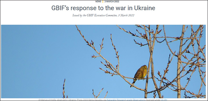    Отомстим за Украину русским жабам и мухам! Скриншот GBIF