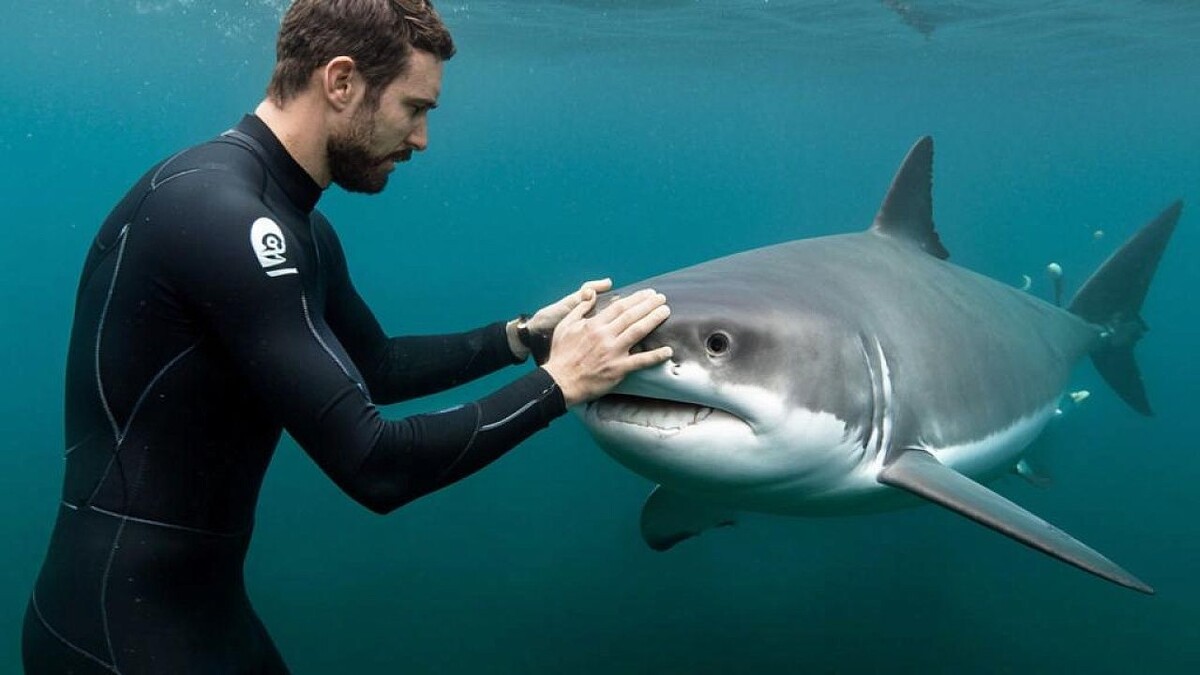    Изображение создано с помощью ИИ.