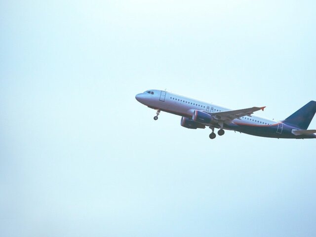    Фото: 123RF/granevsergey