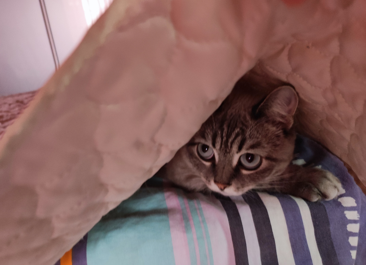 Фото автора 