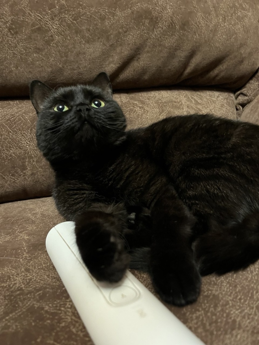 Кончита очень довольна собой. 