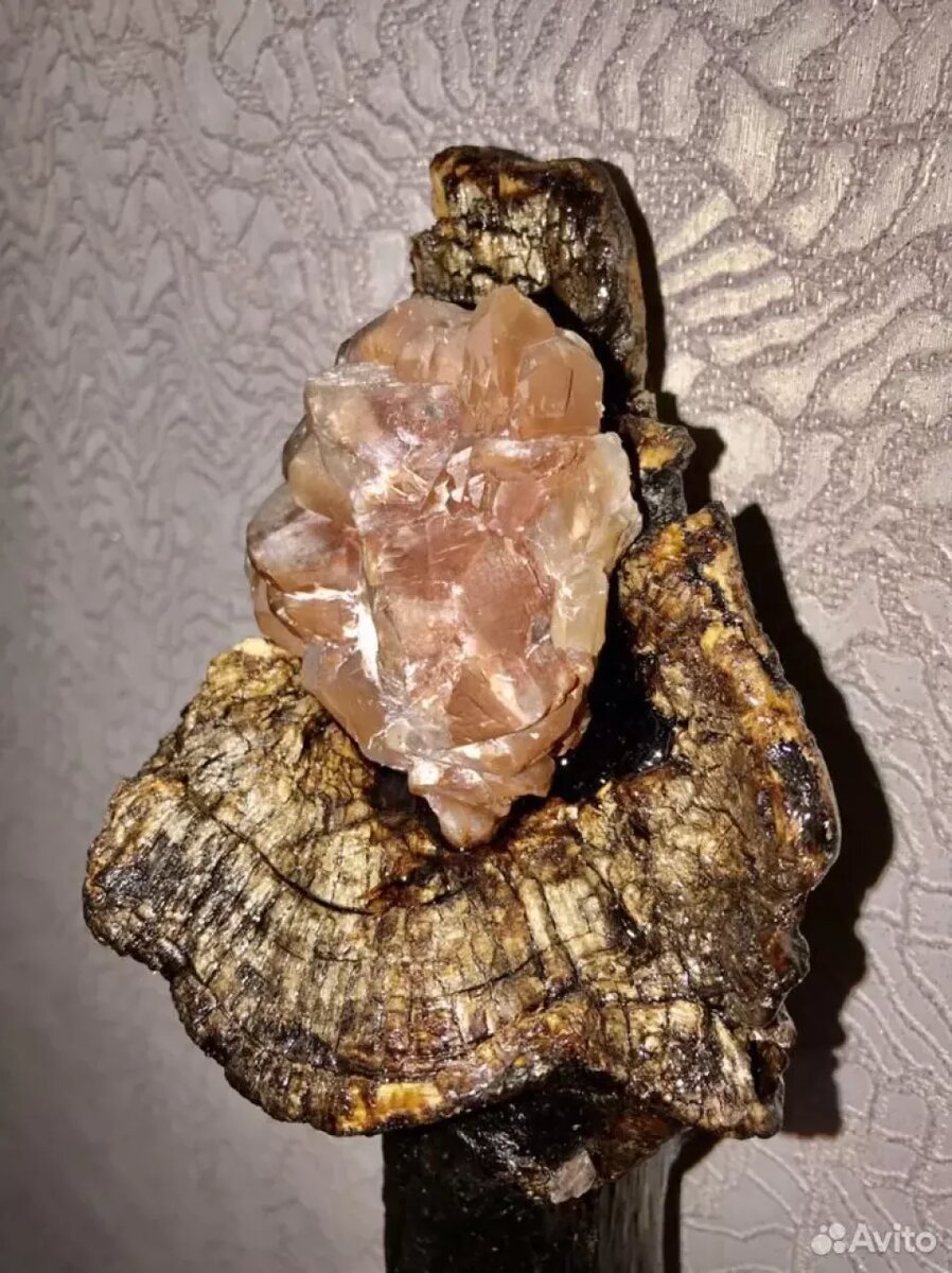    Посох продается, дракон – отдельно. Магический лот из Алтая. Источник: avito.ru