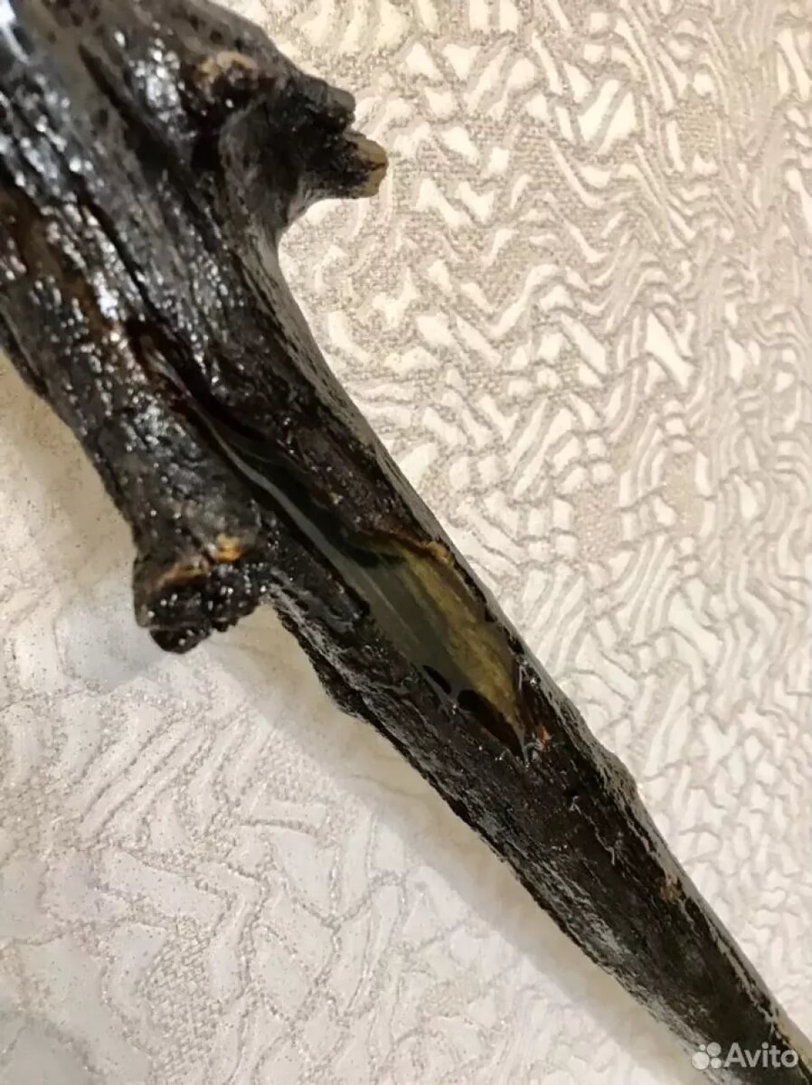    Посох продают в Республике Алтай за 2 млн рублей. Источник: avito.ru