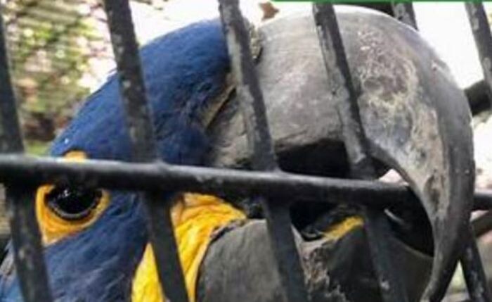 Источник фото: фото из открытых источников - для иллюстрации