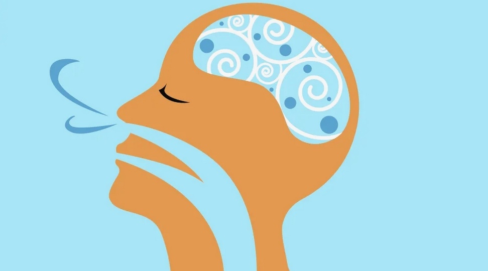 "Дыхание в практике" - куда же ведут открытые двери?