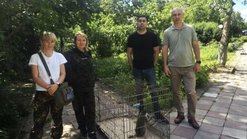    Правительство ЛНР