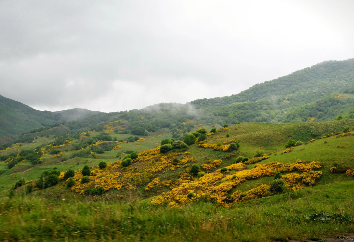 Фиагдонская долина 