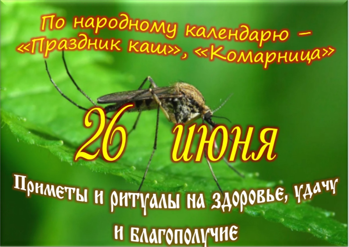 Встречаем новый день