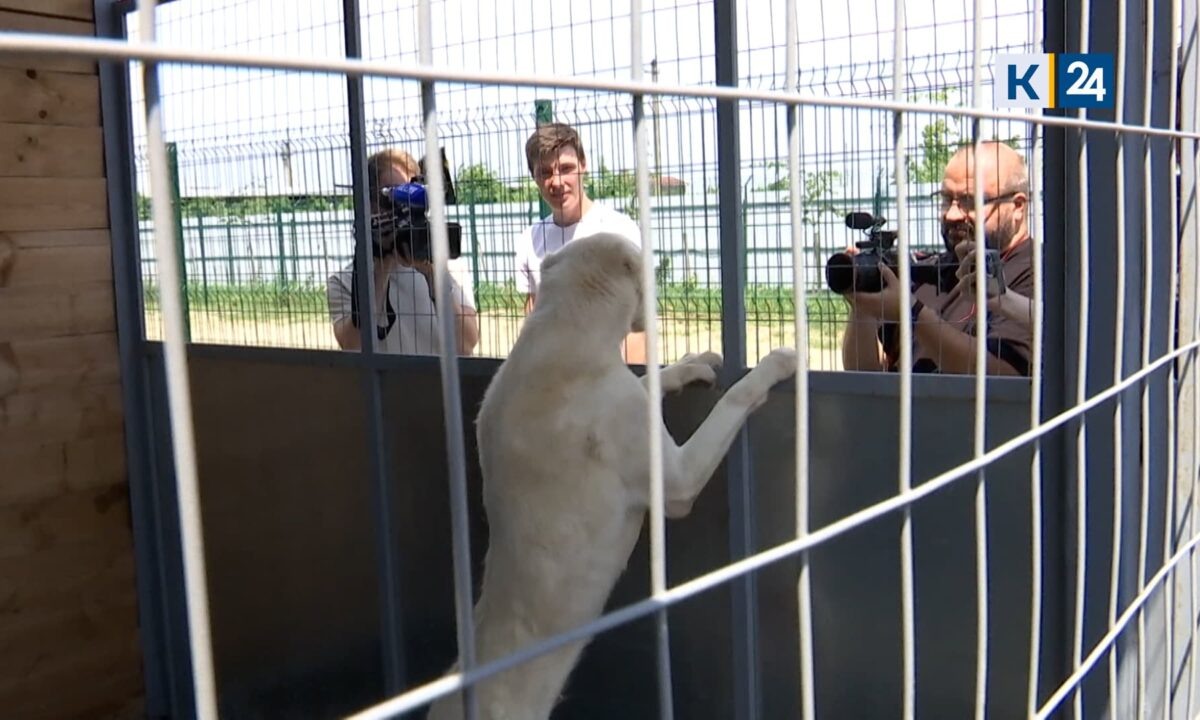 Фото «Кубань 24»