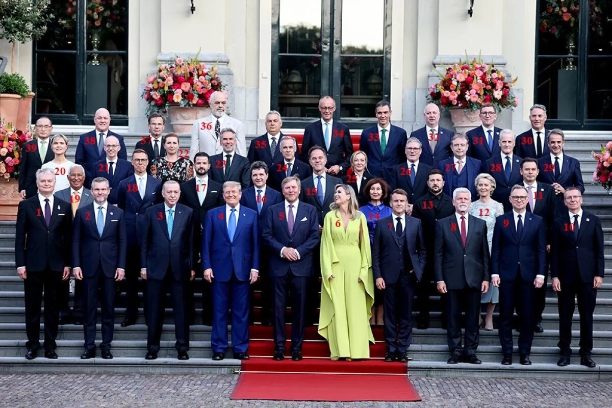    Друзей тут нет.