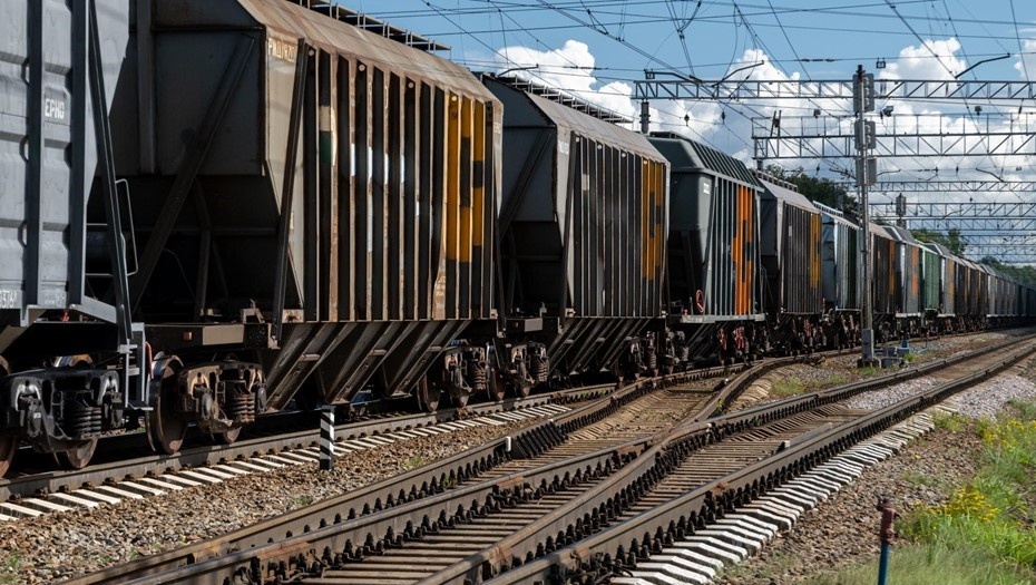    Автор фото: Тихонов Михаил