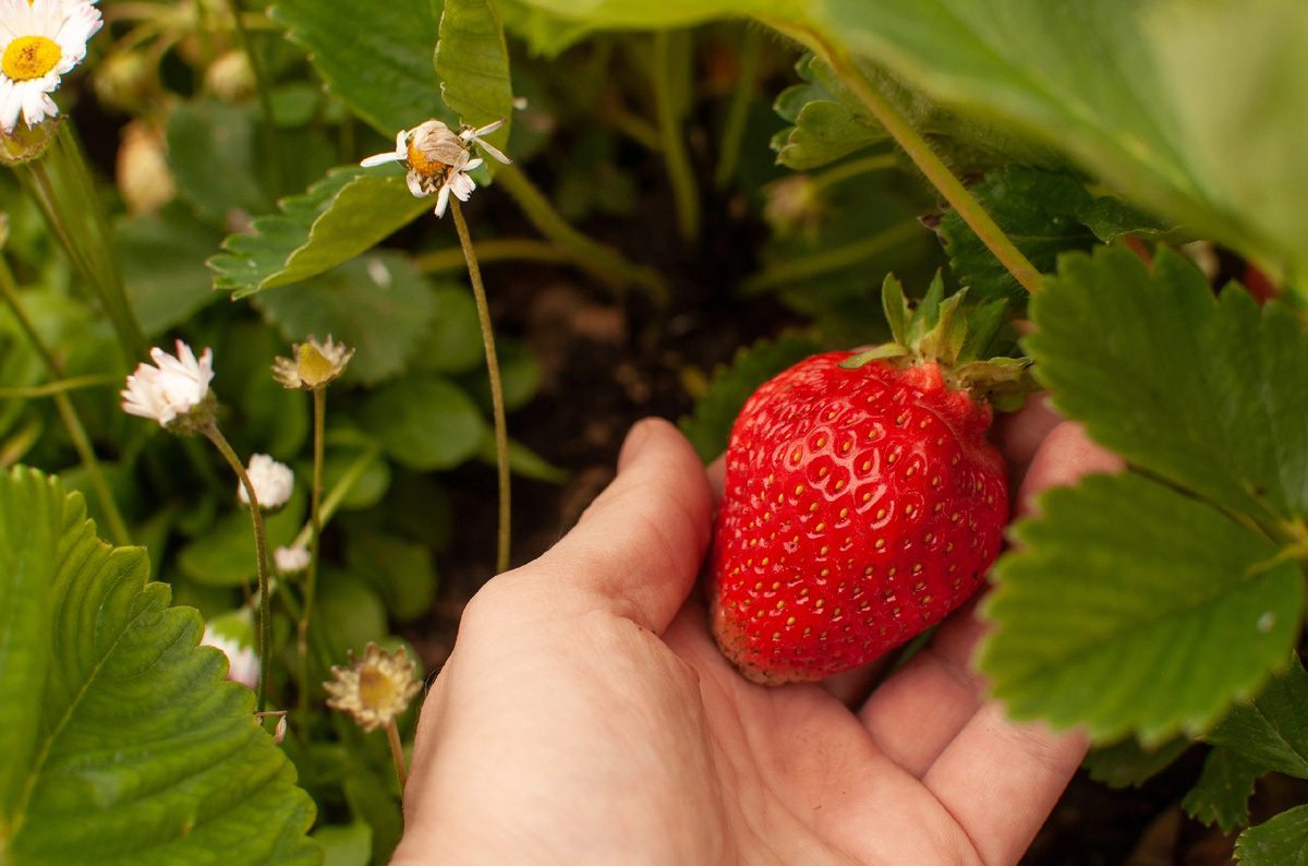 Личное фото