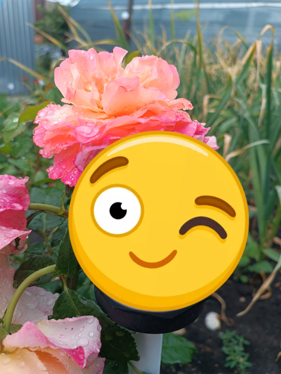 Хорошего вам настроения! 