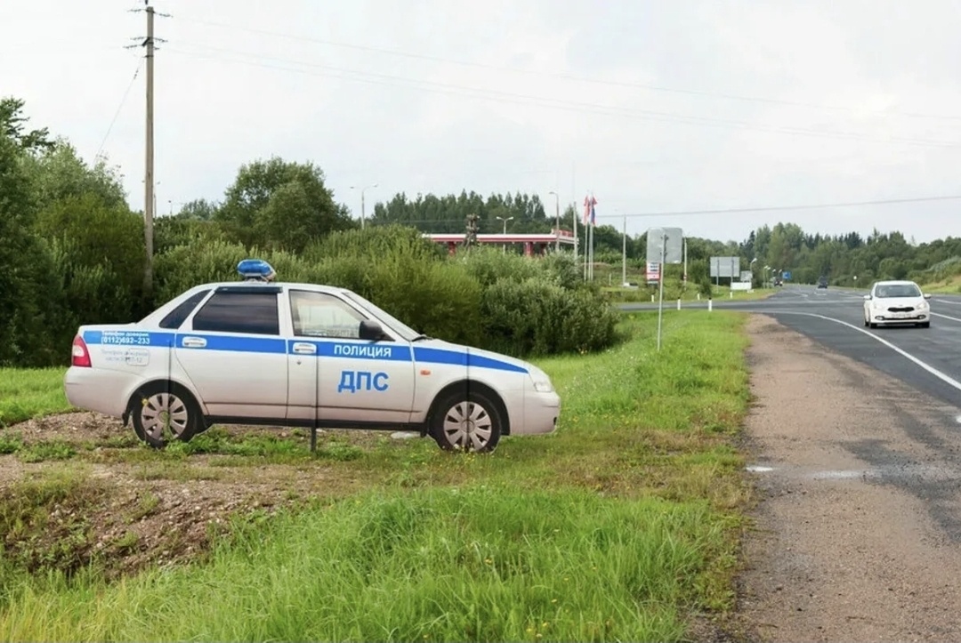 Муляж.