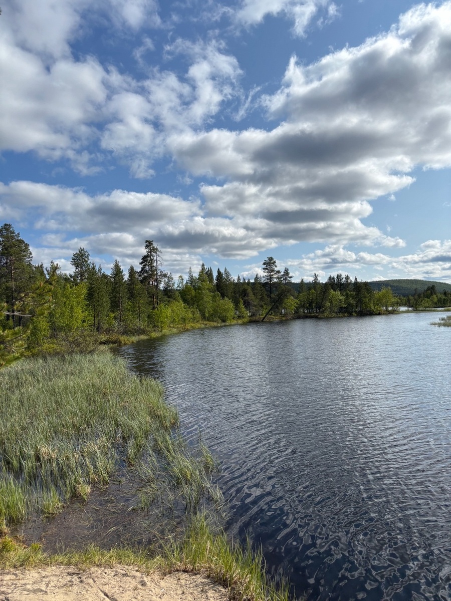так было  двумя днями ранее.