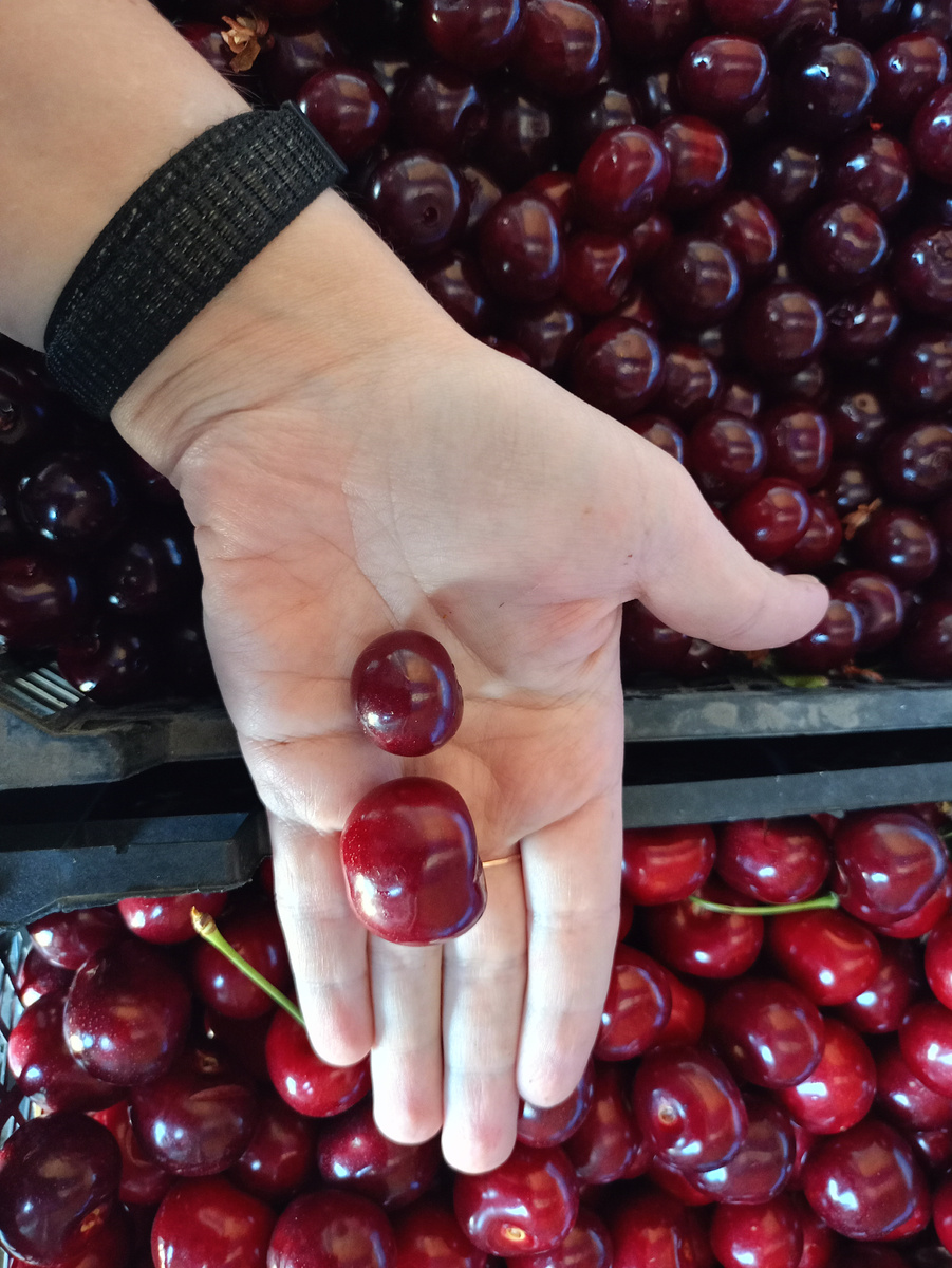 Чудо-вишня по сравнению с вишней