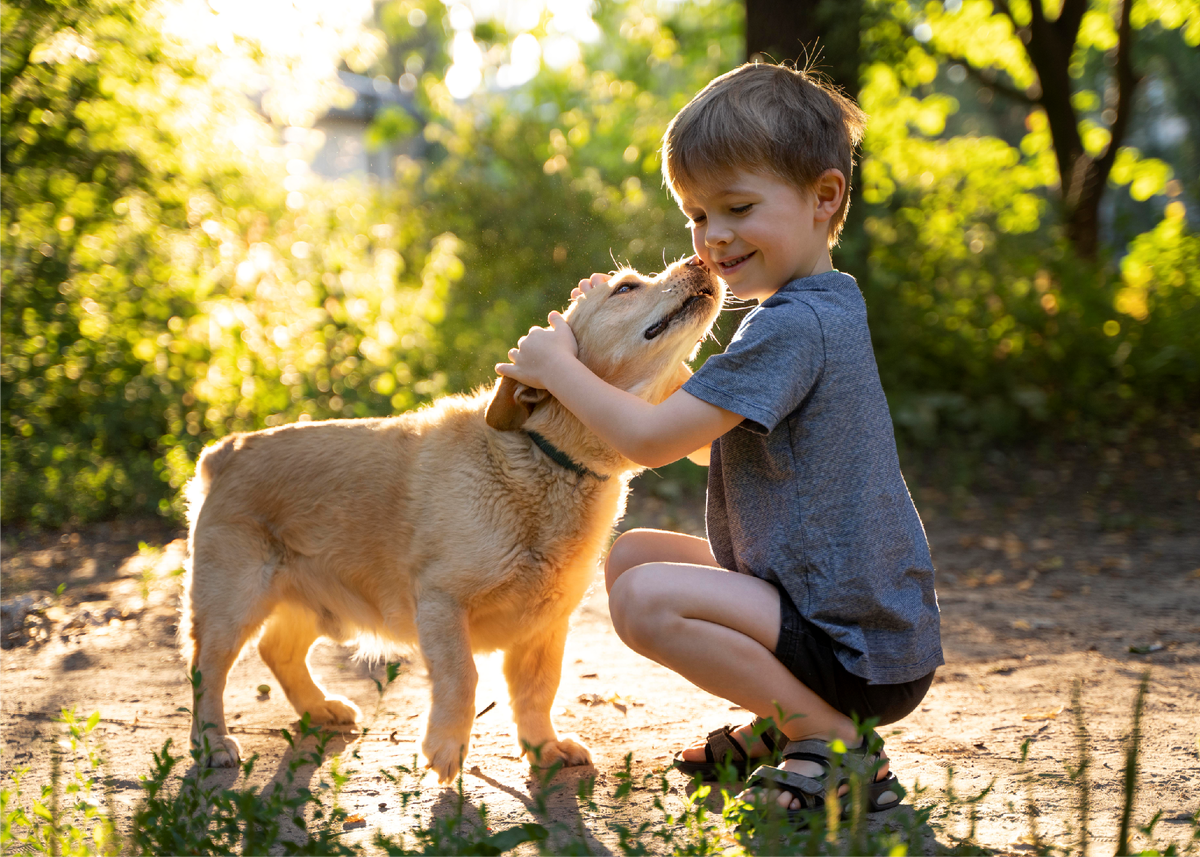 Фото из фотобанка