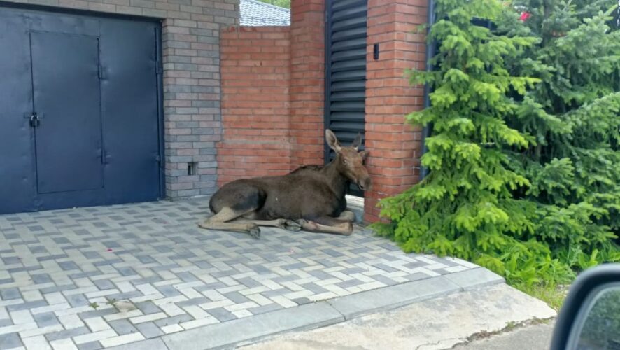    Госкомитет по биоресурсам РТ