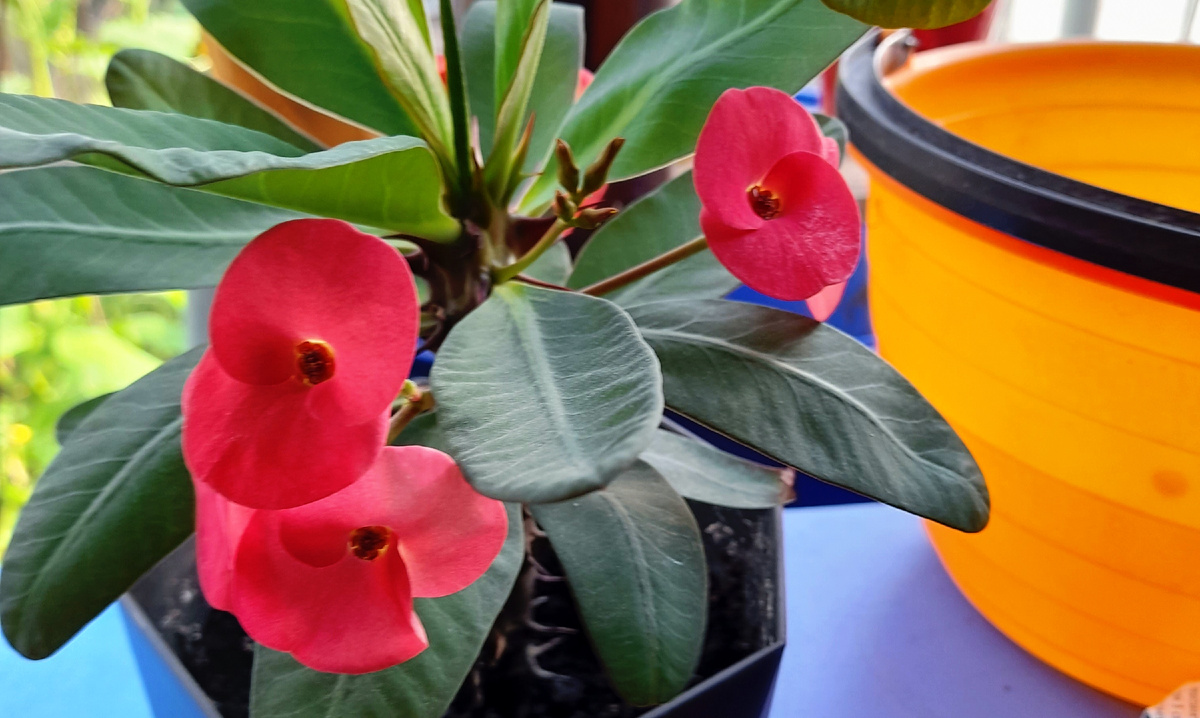 Фото автора канала