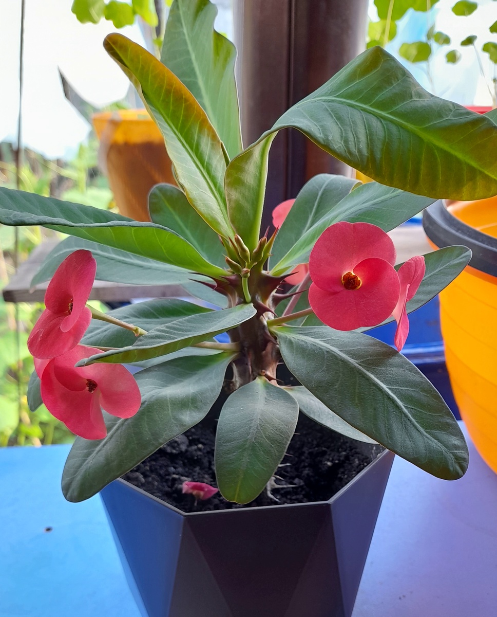 Фото автора канала