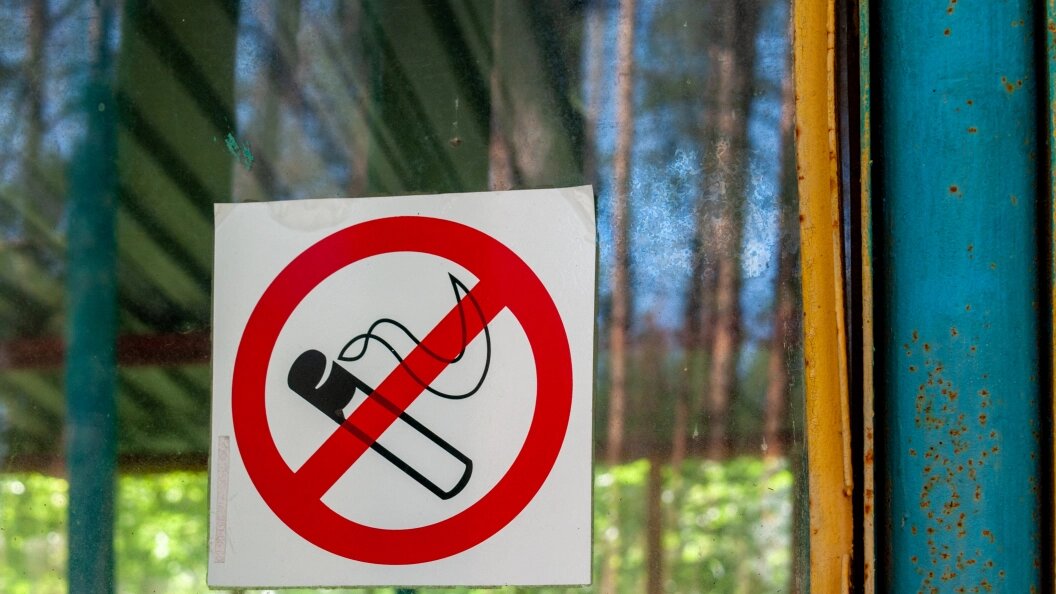    Фото: Svetlana Vozmilova/Globallookpress