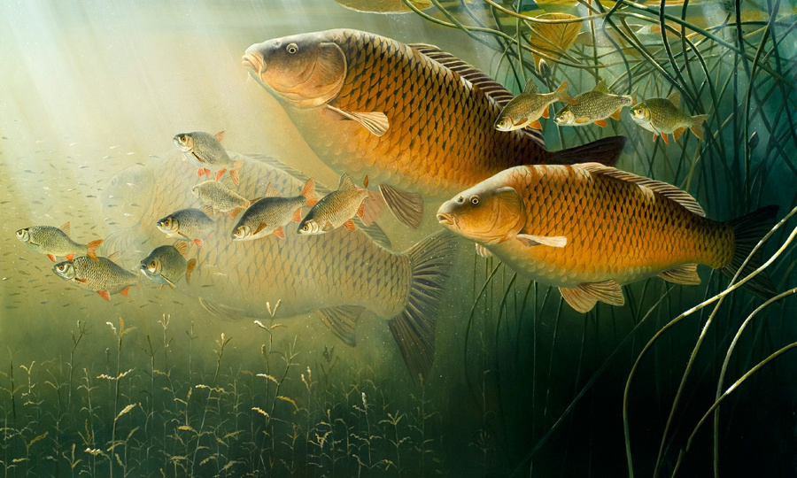 Как отсечь мелкую рыбу и поймать крупную.