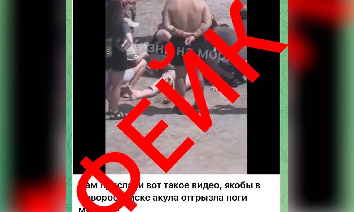    Фото t.me/pressnovoross