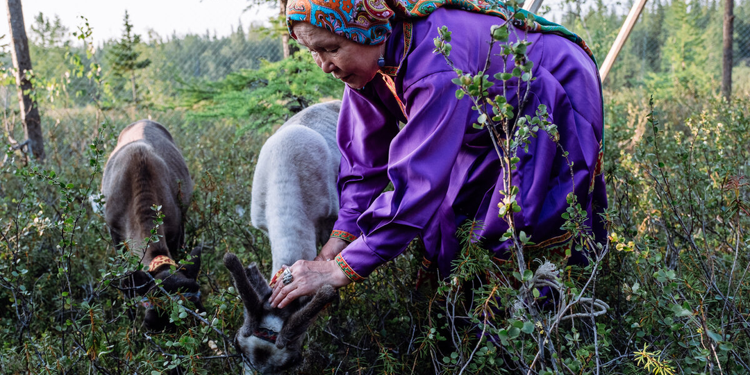 Как обустроила быт пенсионерка в чуме на Ямале