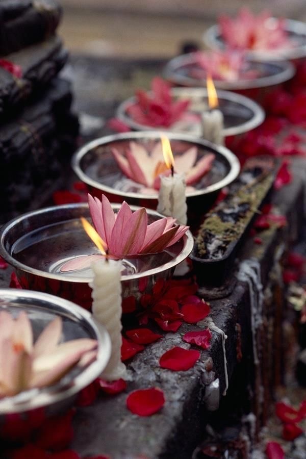 ОБРАЩАЙТЕСЬ ЗА ПОМОЩЬЮ. Астролог Елена Мирошниченко 