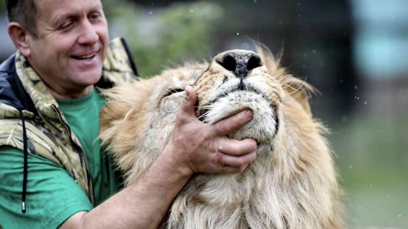   РИА Новости