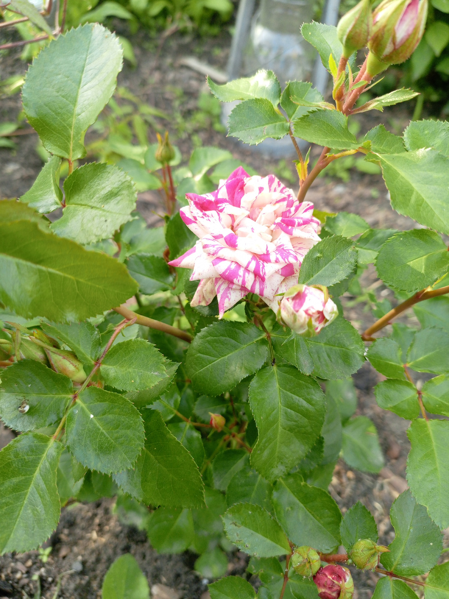 Фото автора 📸