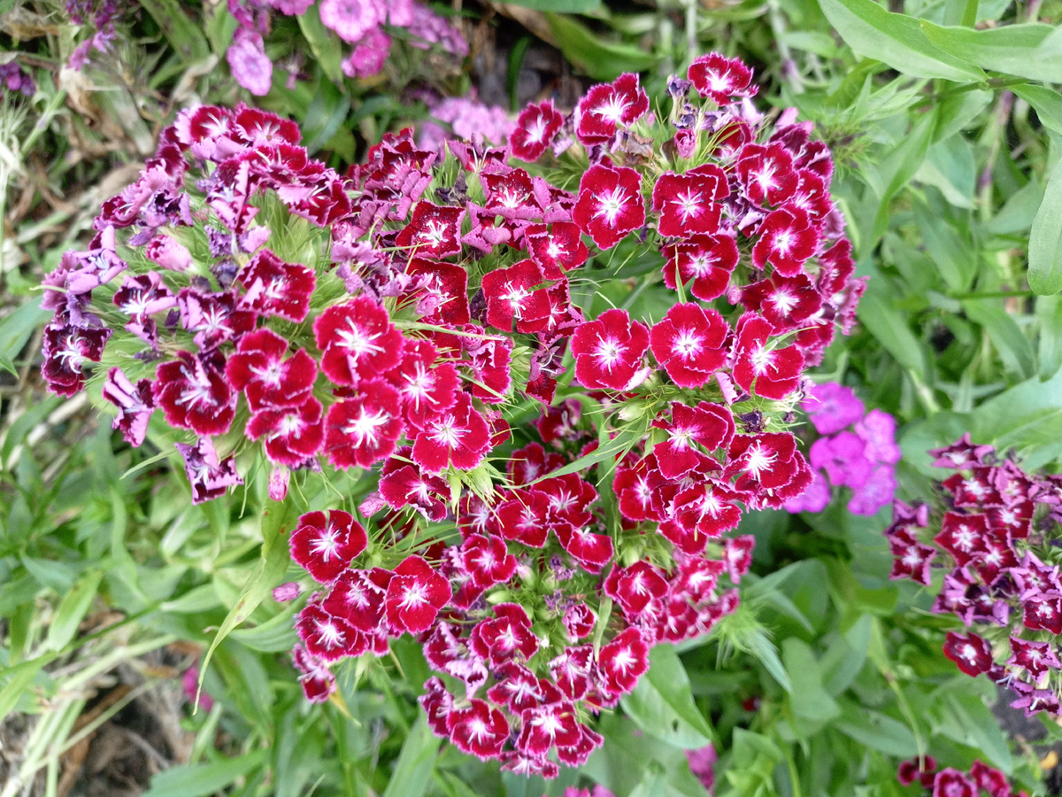 Фото автора 📸😊