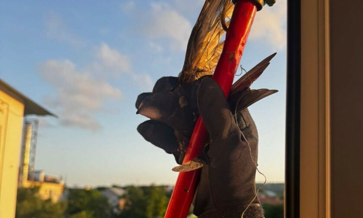    Фото t.me/alekseioderov