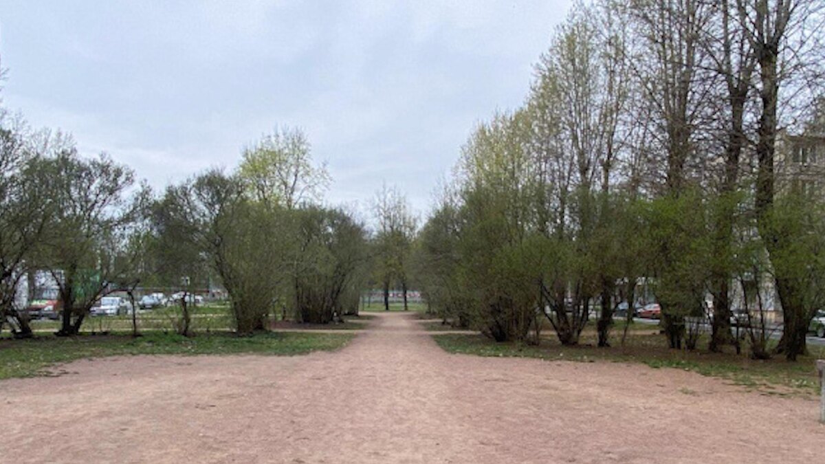    Фото: gov.spb.ru/press