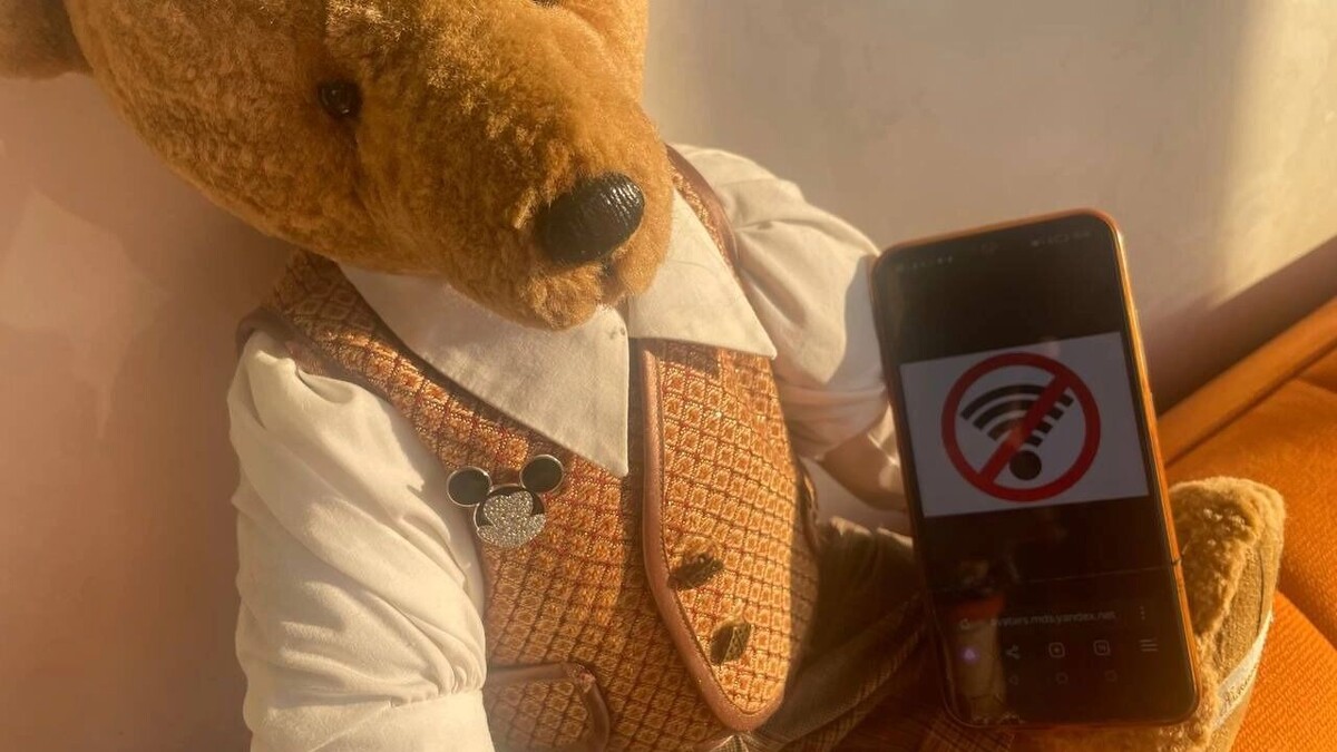     Источник: rostovgazeta.ru