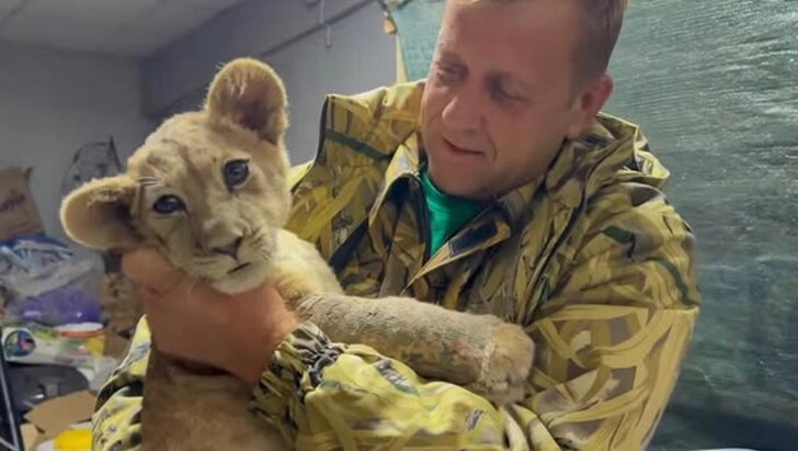 После операции первые мысли Зубкова были о животных