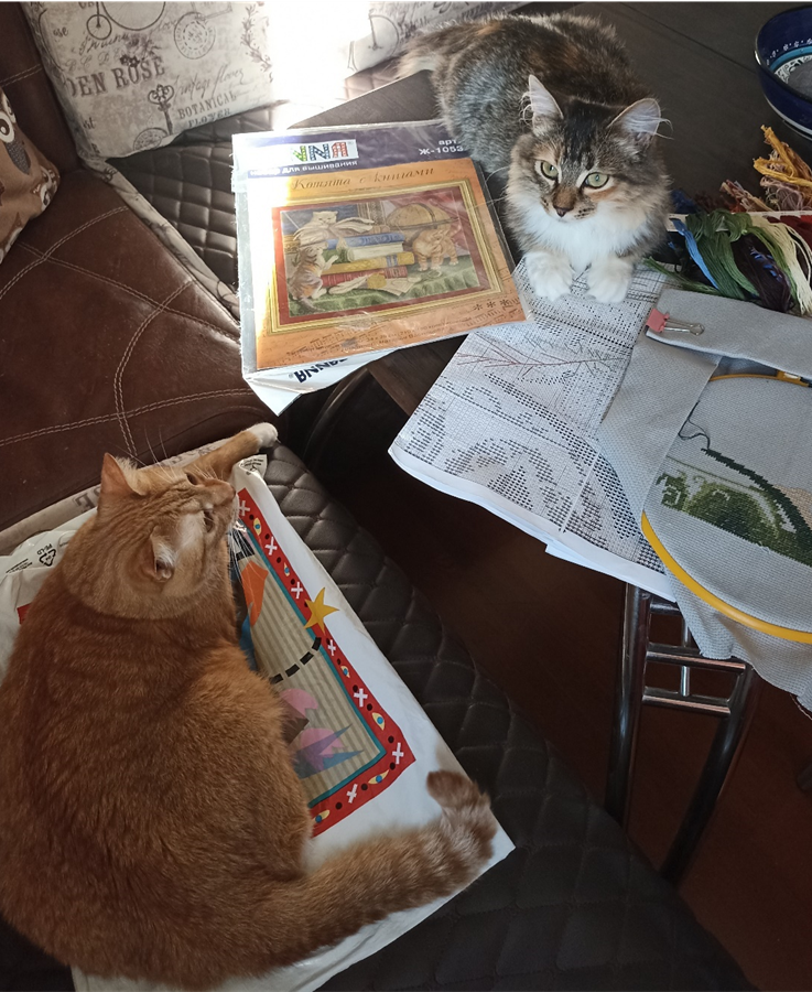 Музы хвостатые