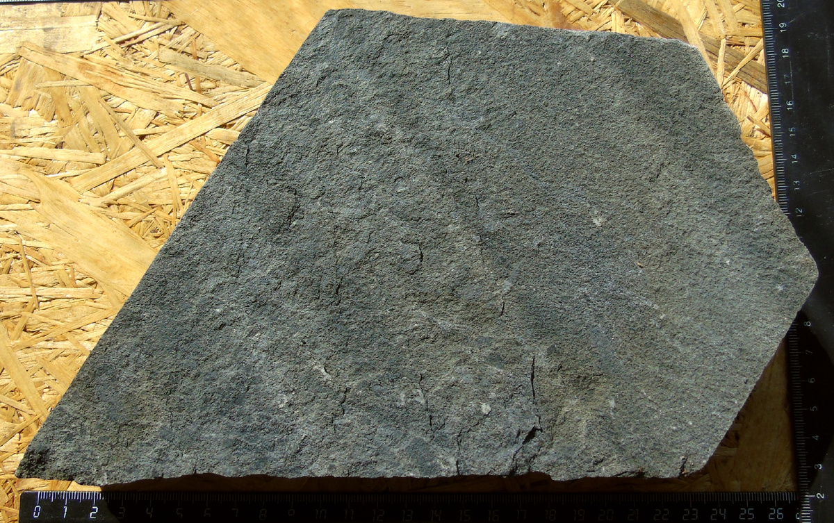 Полигональные трещины отдельности