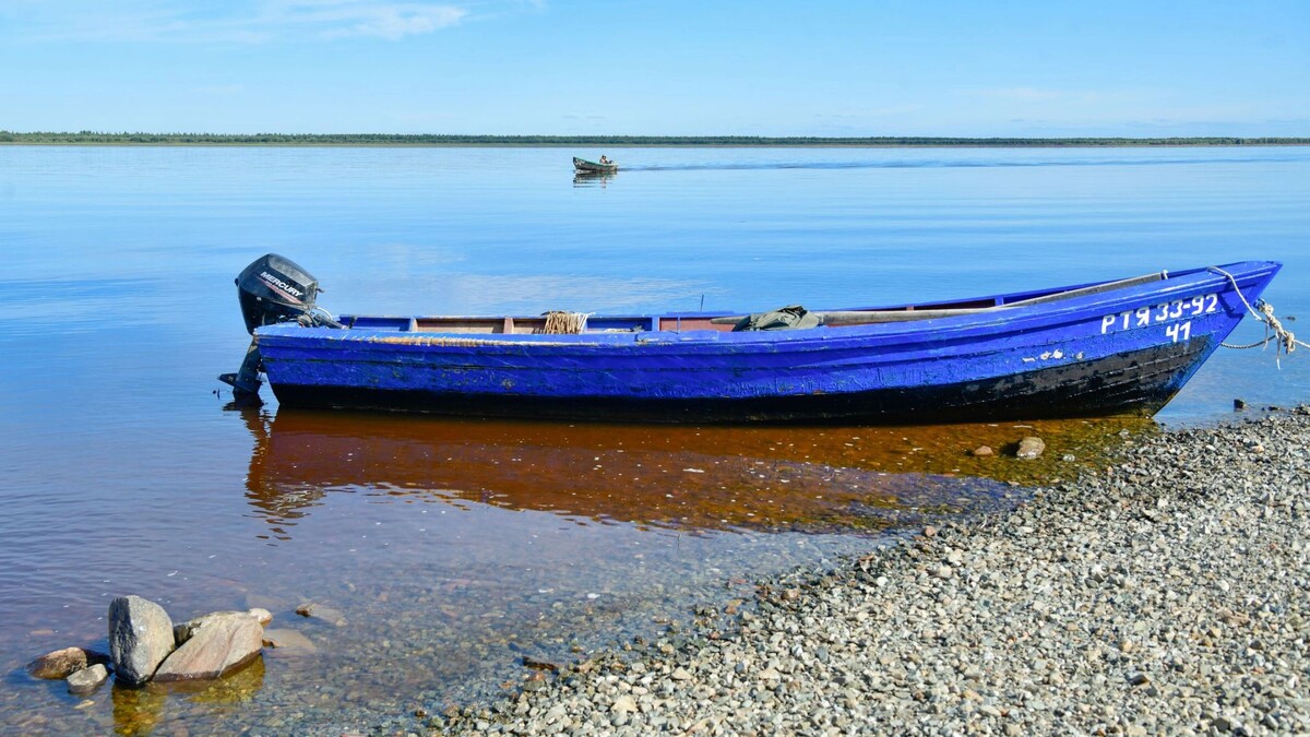    Фото: Андрей Ткачев / «Ямал-Медиа»