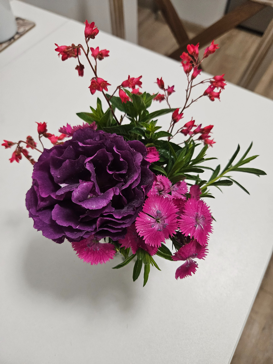 Роза, гвоздики, гейхера, мята перечная, иссоп