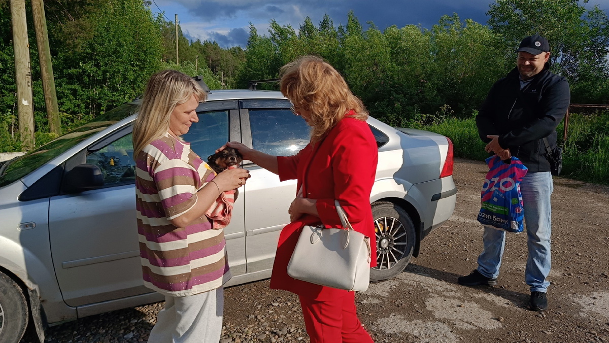 Семья приехала познакомиться с малышом, 
