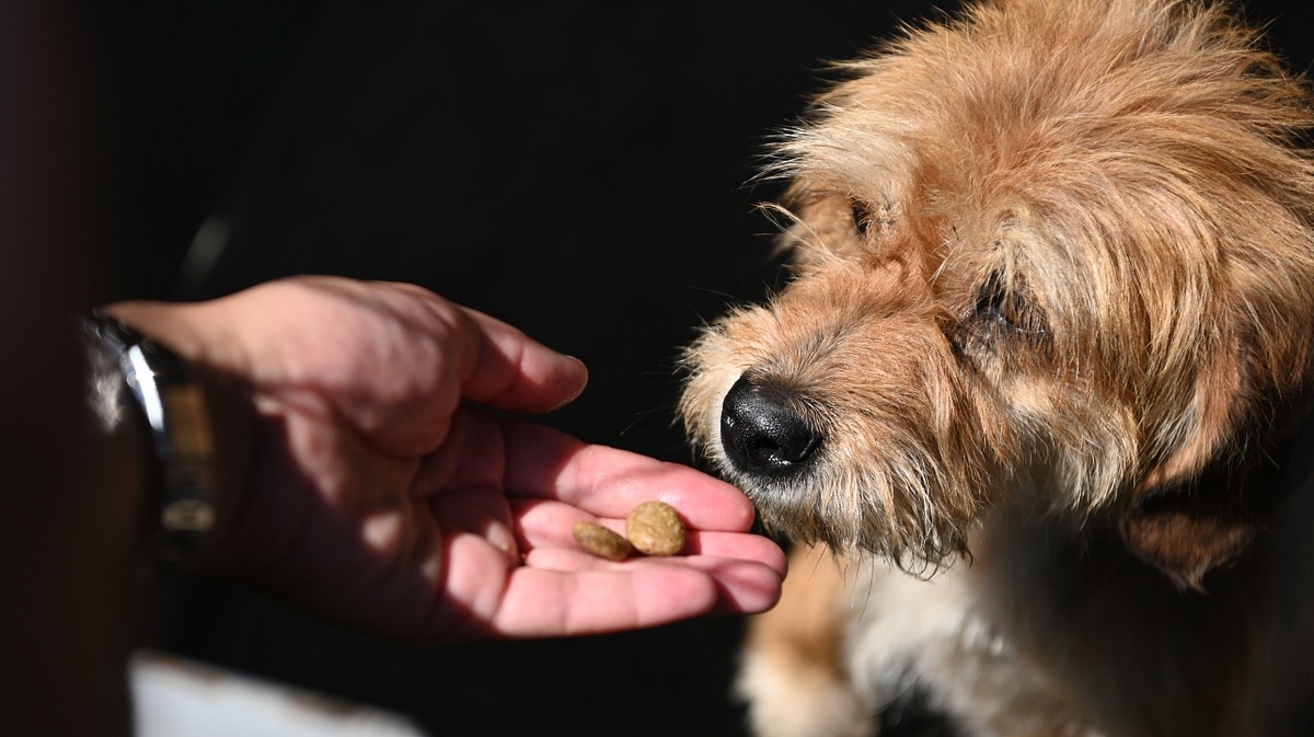 Фото: Андрей Зубов