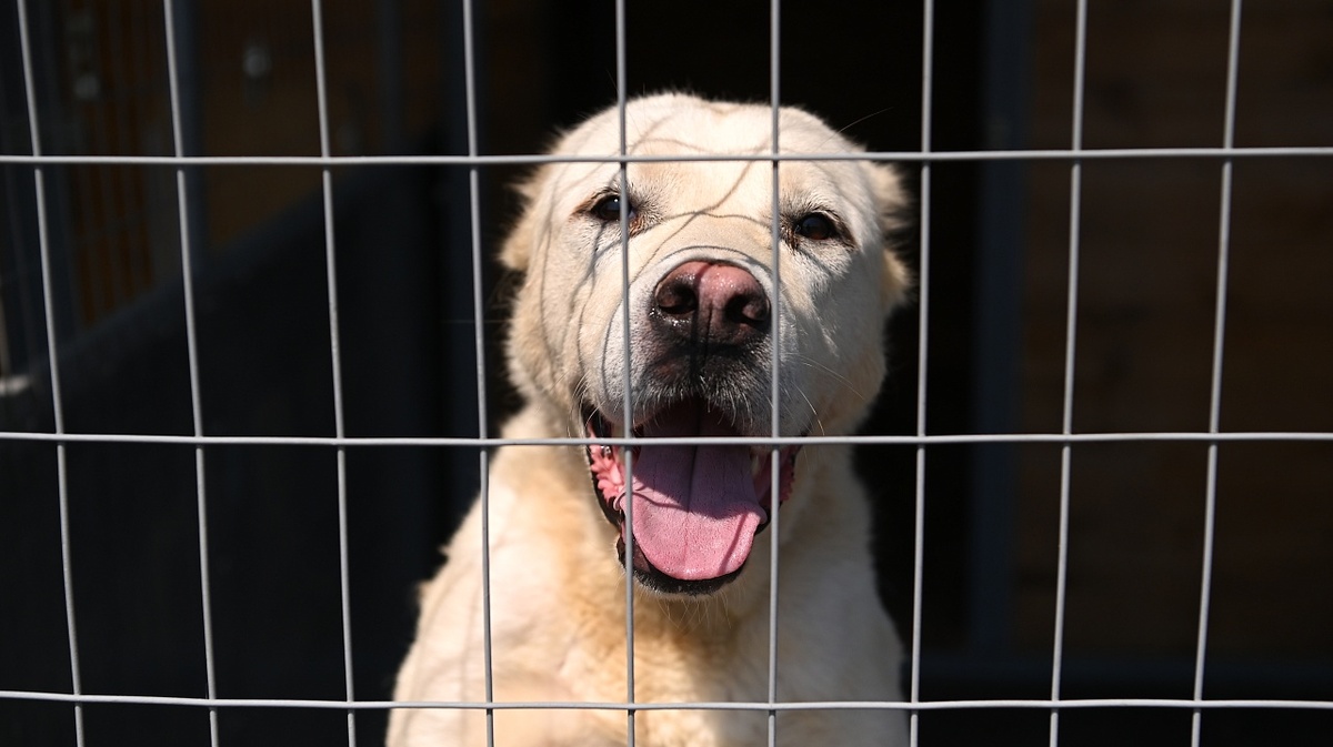 Фото: Андрей Зубов