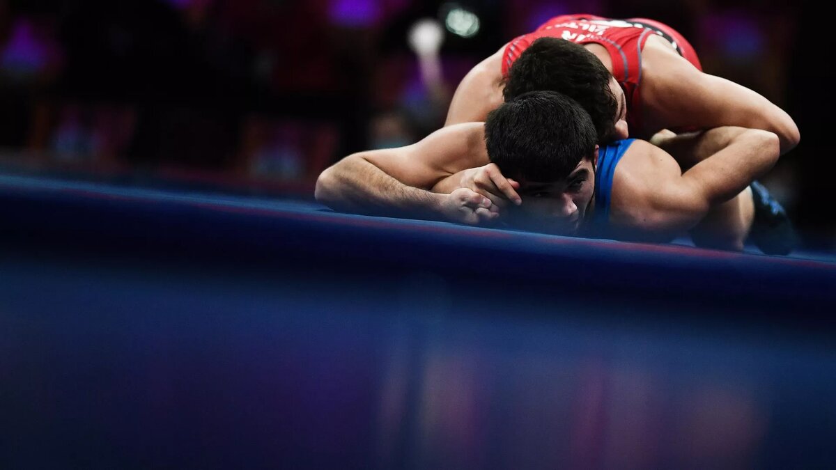 © Sputnik / Владимир Астапкович