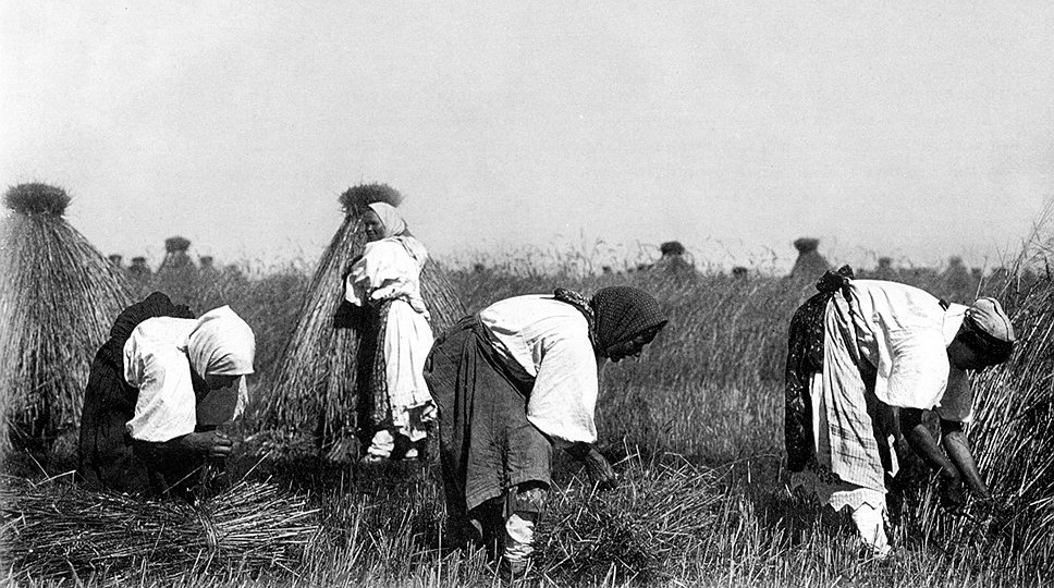 Правда ли, что все крестьяне были исключительно крепостными?