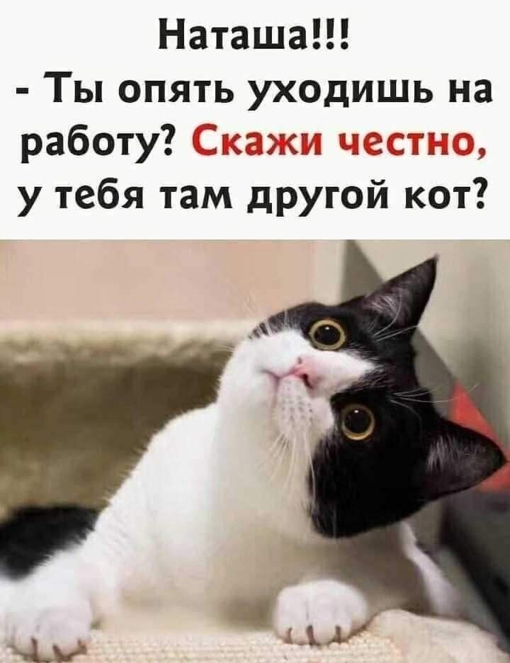 источник Яндекс-картинки