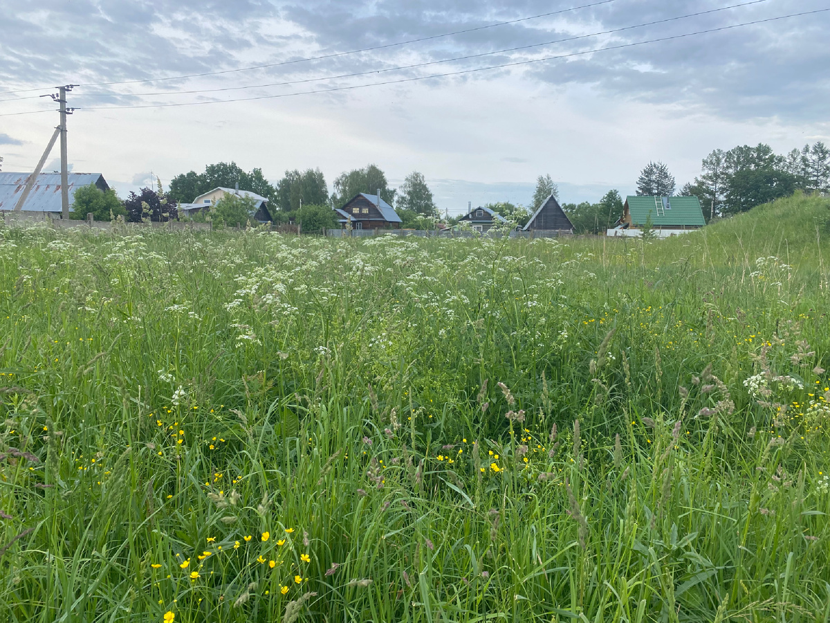 Наша деревенька