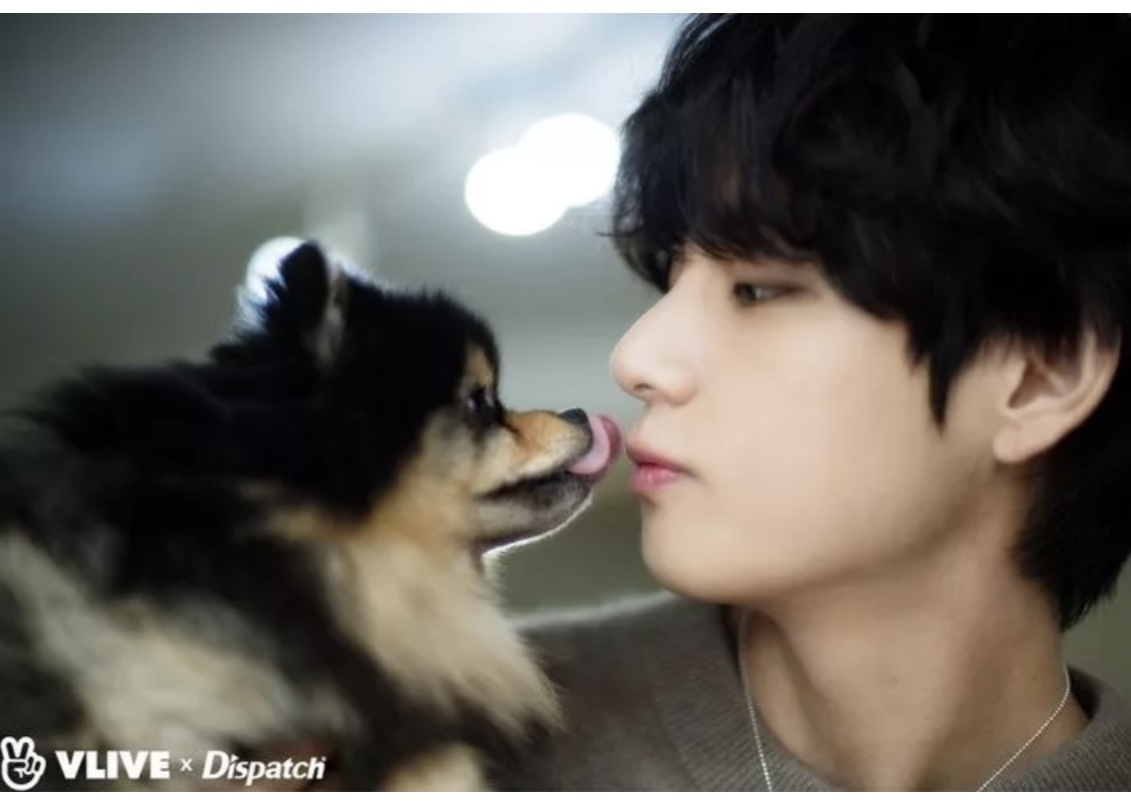 Тэхён и Ёнтан- фото из открытых источников 