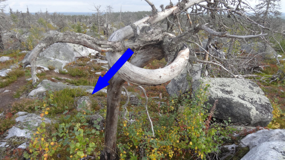    Загадка Беловодья что скрывает легендарная земля староверов в Сибири