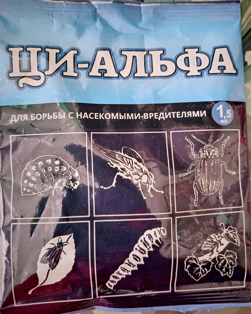 Фото автора.